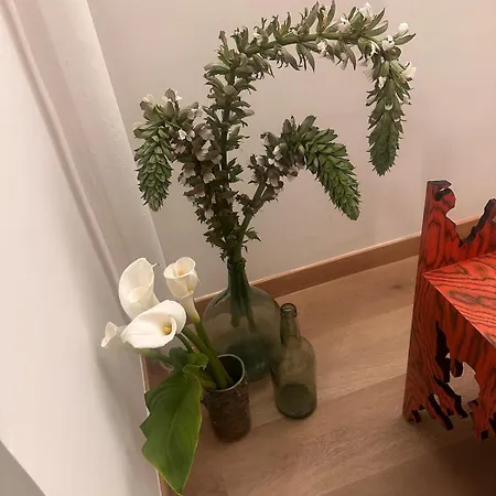 Apartment Bilbao, 3min Walk To Guggenheim With Ac *